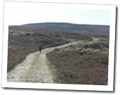 Old Drove Rd
