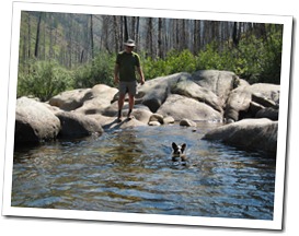 Boomer swimming at Chewuck Falls