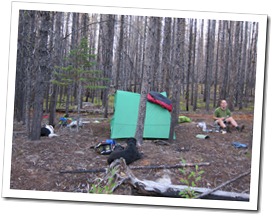 Camp by Basin Creek