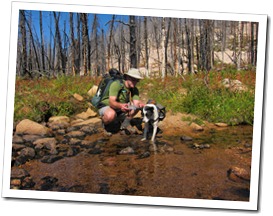 Middle Creek
